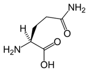 L-Glutamin bei der Keto-Diät
